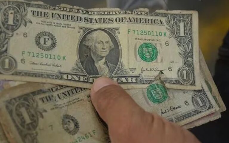 dolar